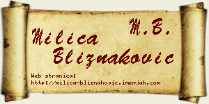 Milica Bliznaković vizit kartica
